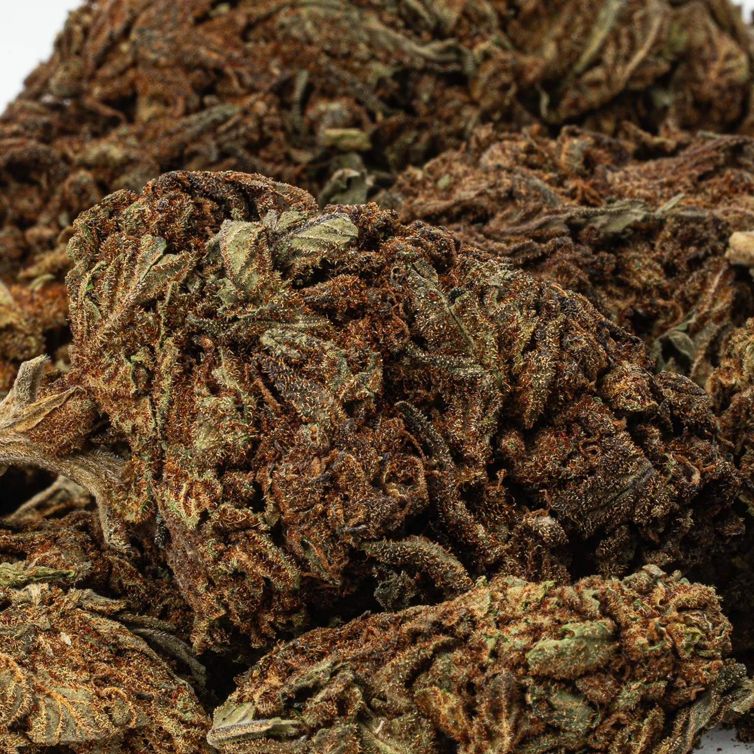 Black Jack (A) - Image 5