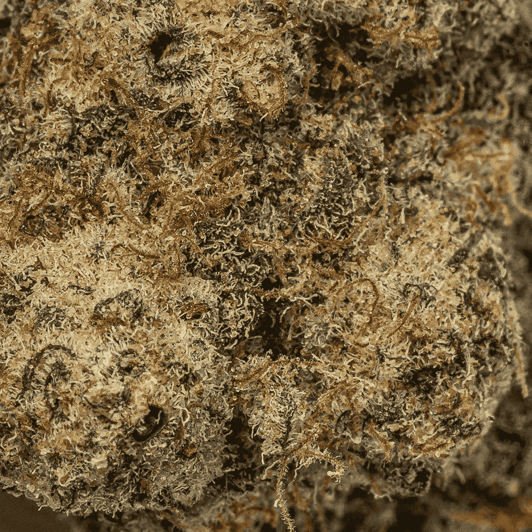 Cereal MAC (Craft) - Image 4