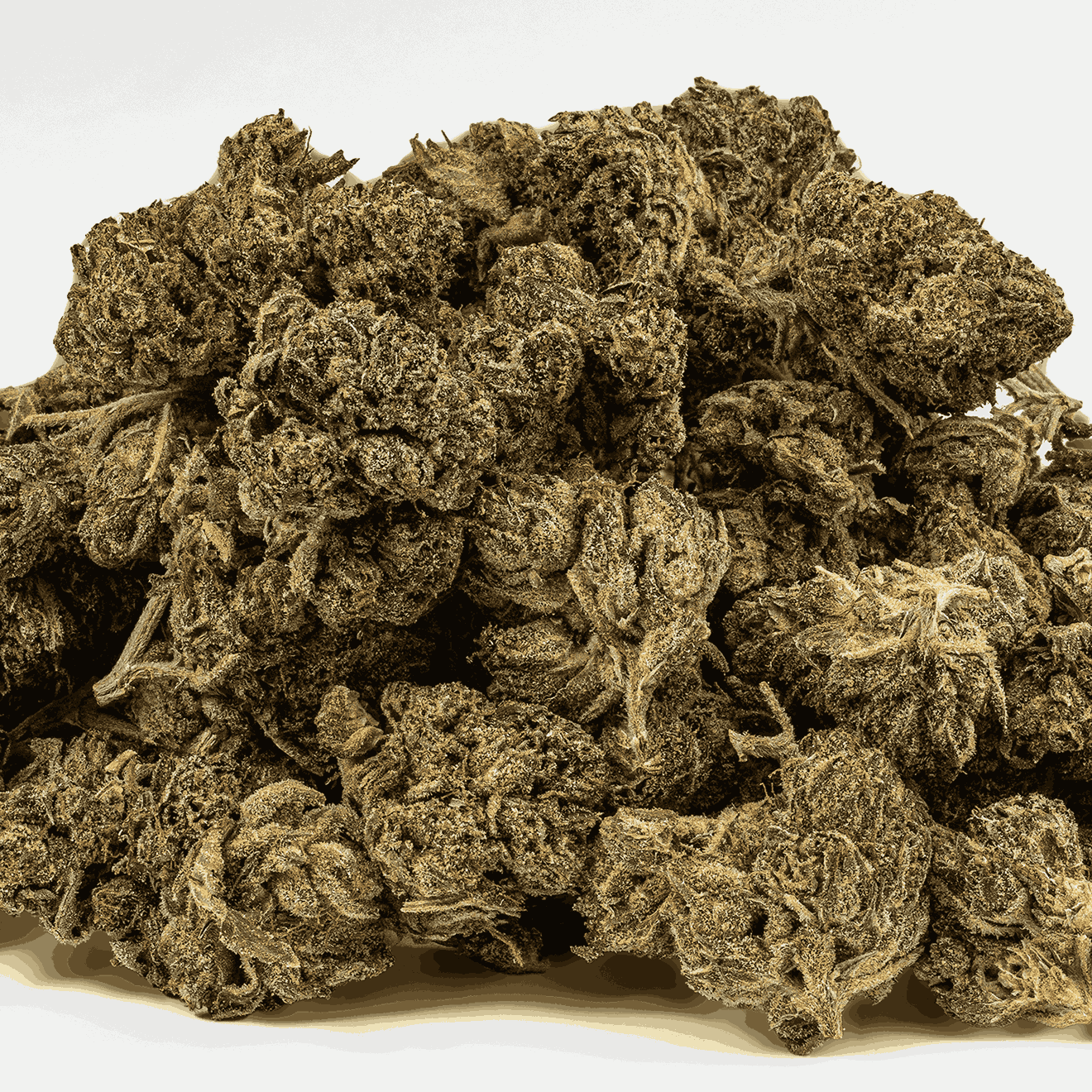 Gasolina (AAAA+) - Image 4