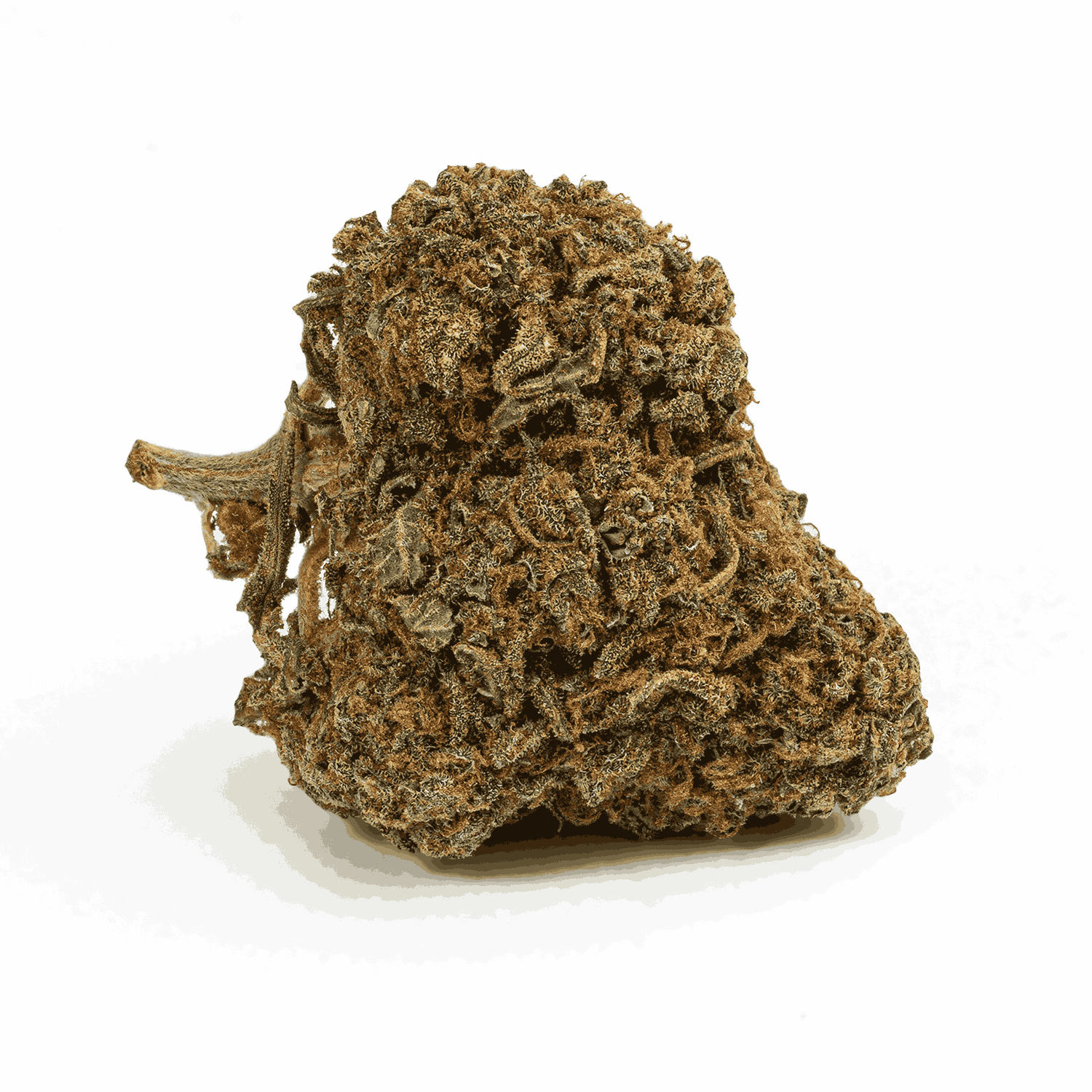 Guava Bomba (AAA) - Image 3