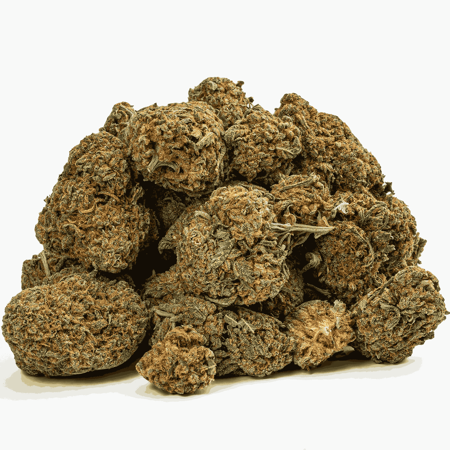 Guava Bomba (AAA) - Image 4