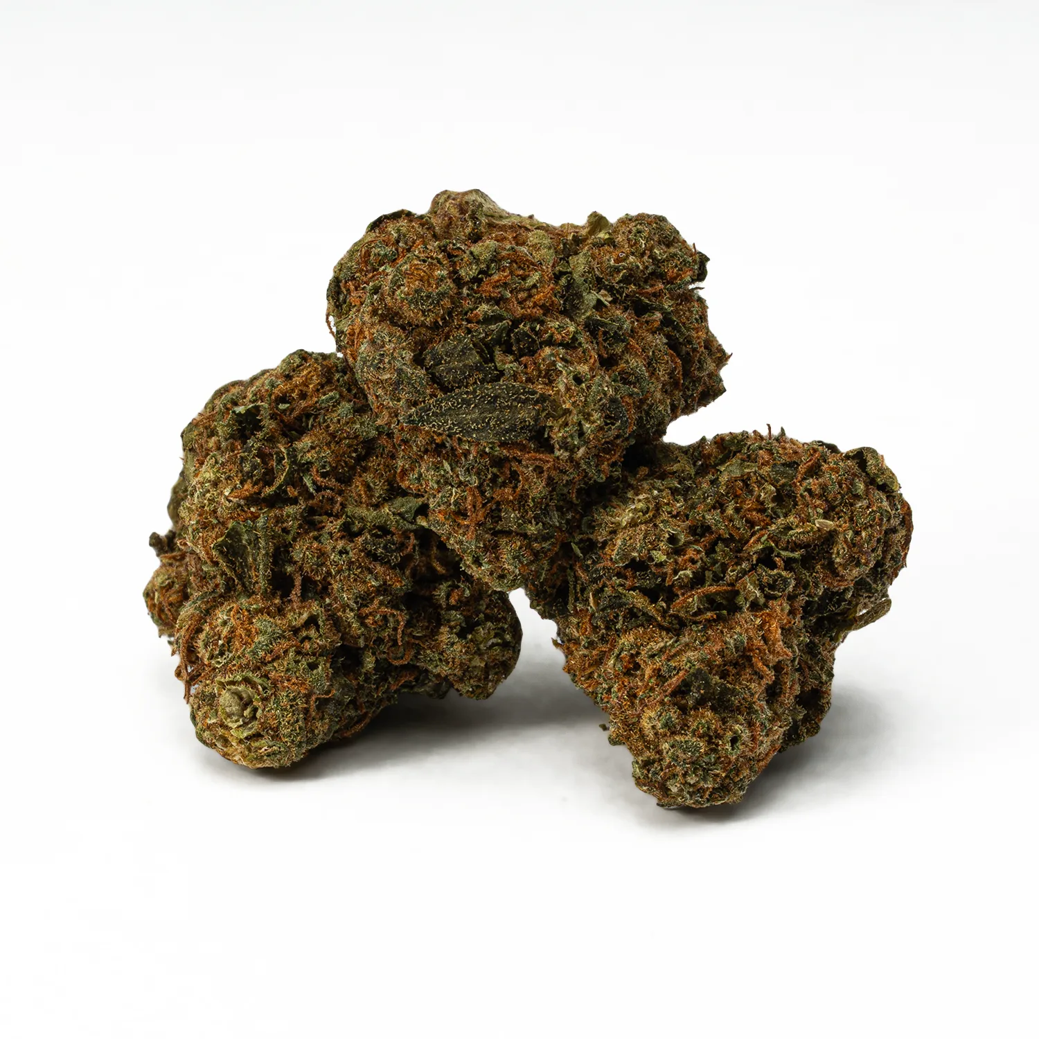 Lagoon (A) - Image 2