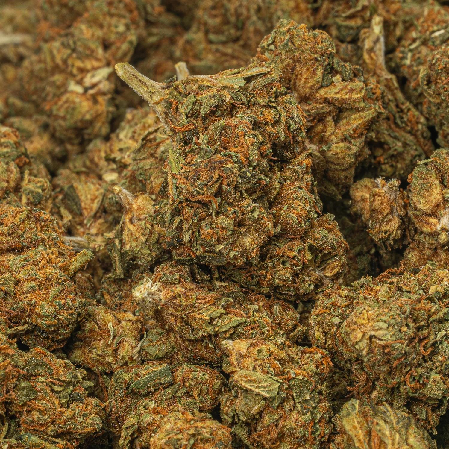 Lagoon (A) - Image 4