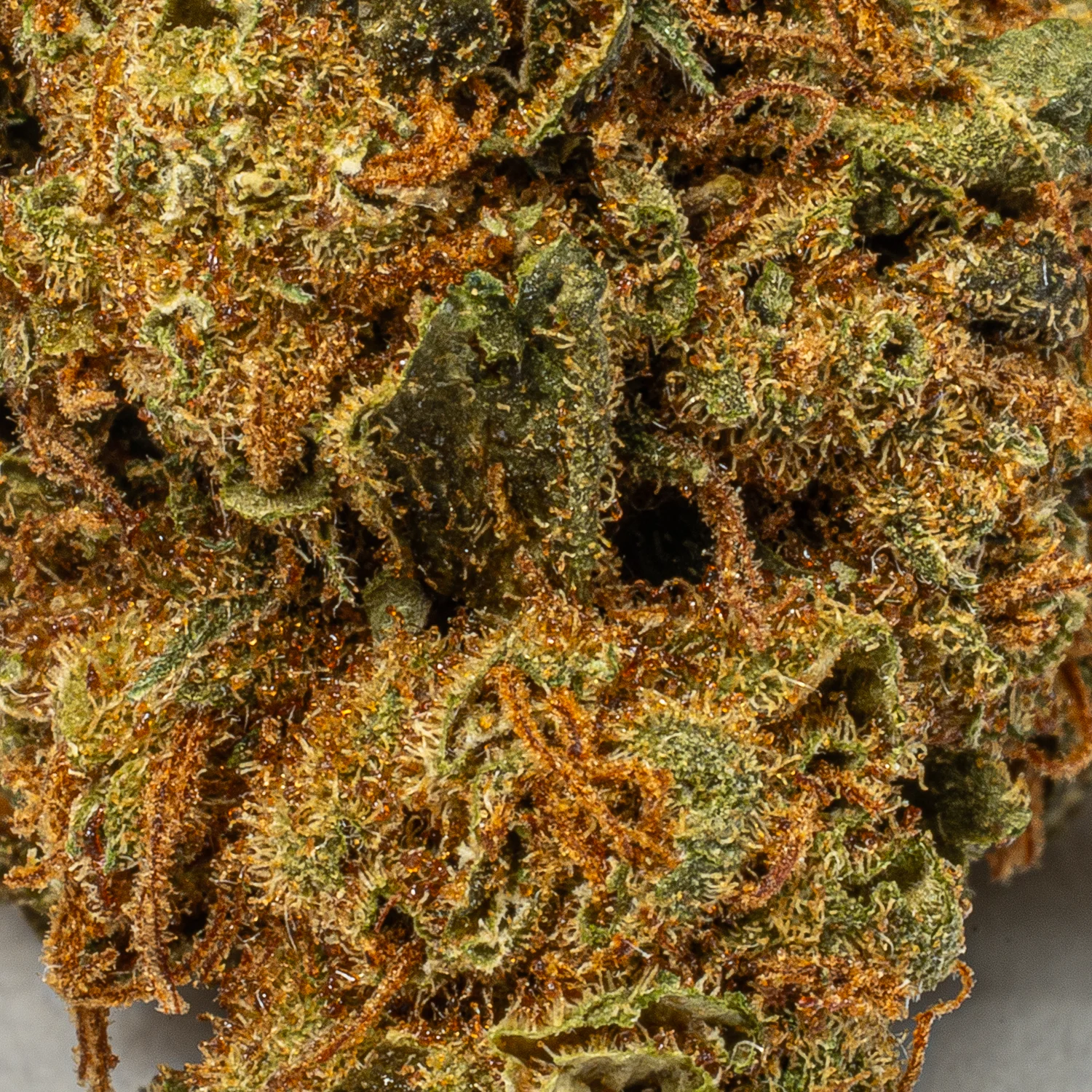 Lagoon (A) - Image 3