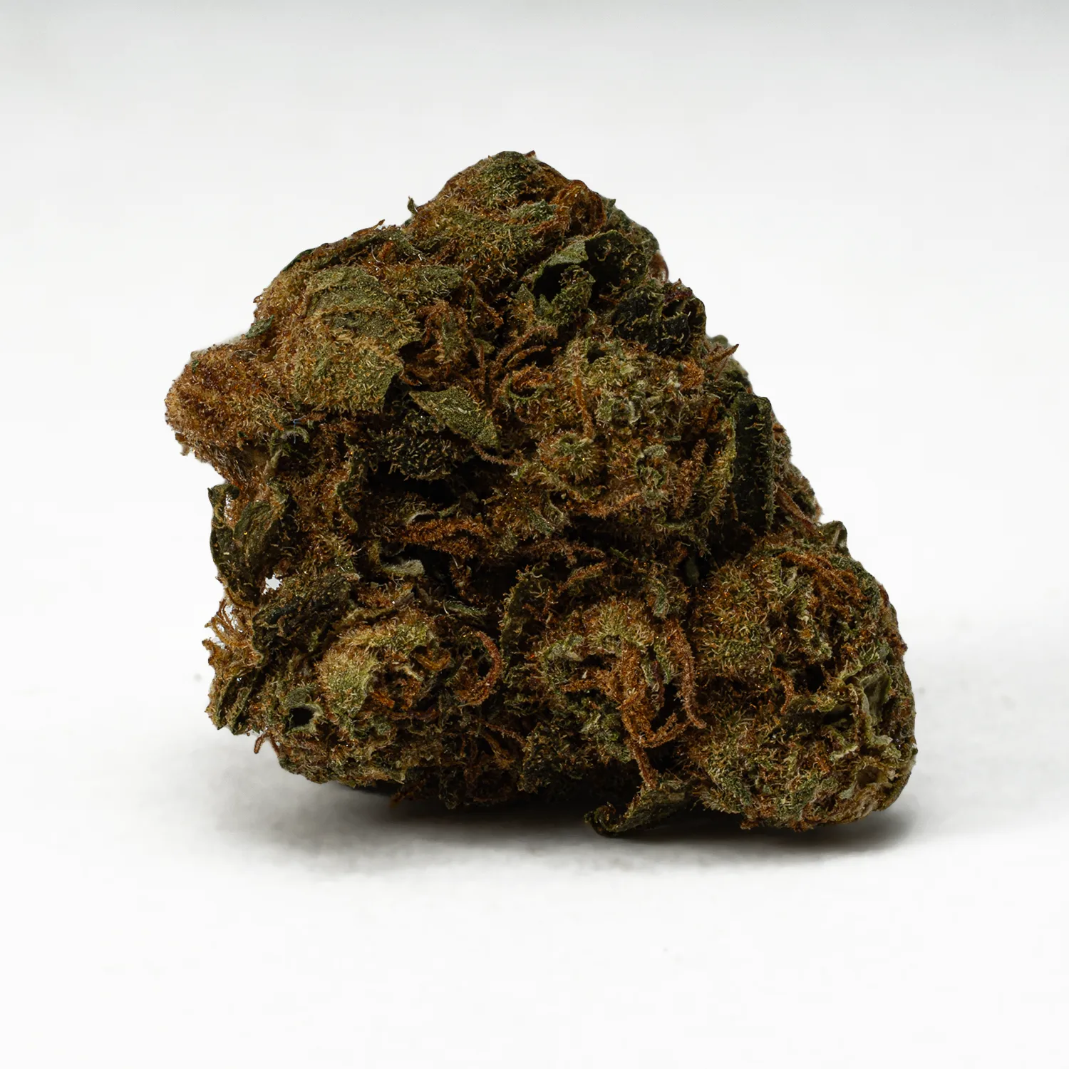 Lagoon (A) - Image 5