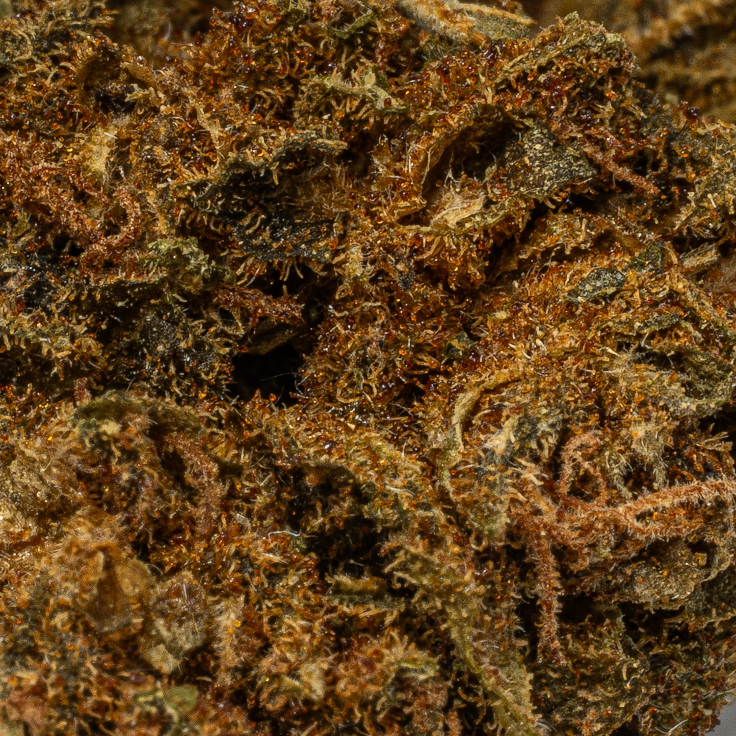 Mango Tango (A) - Image 4