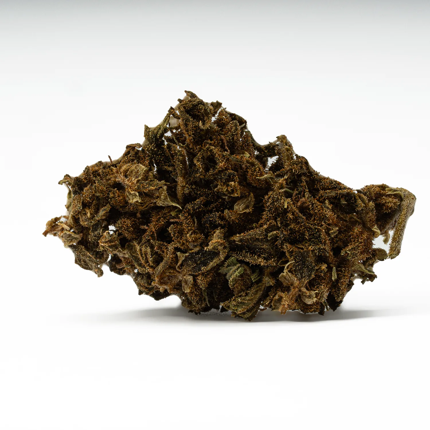 Mango Tango (A) - Image 5