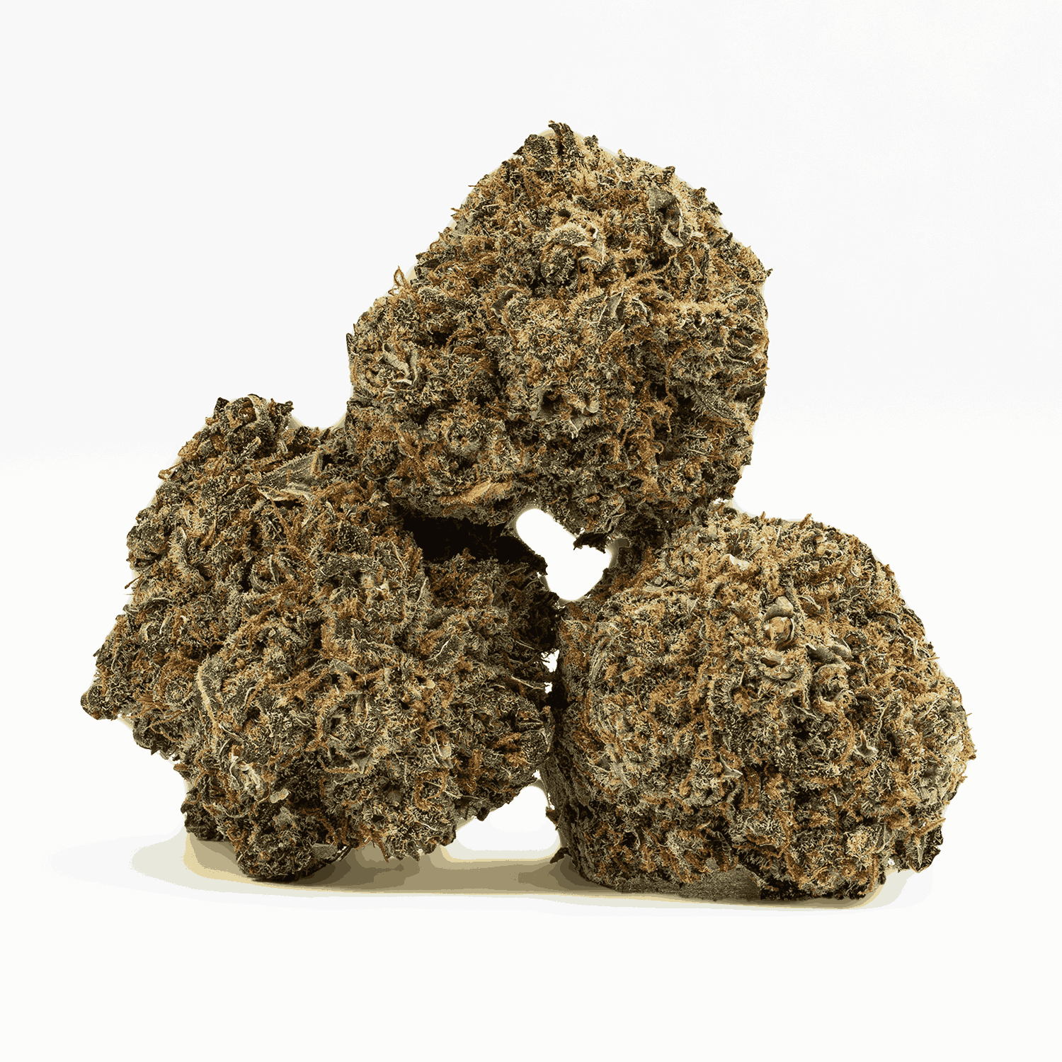 Mother Of Berries (AAA) - Image 2