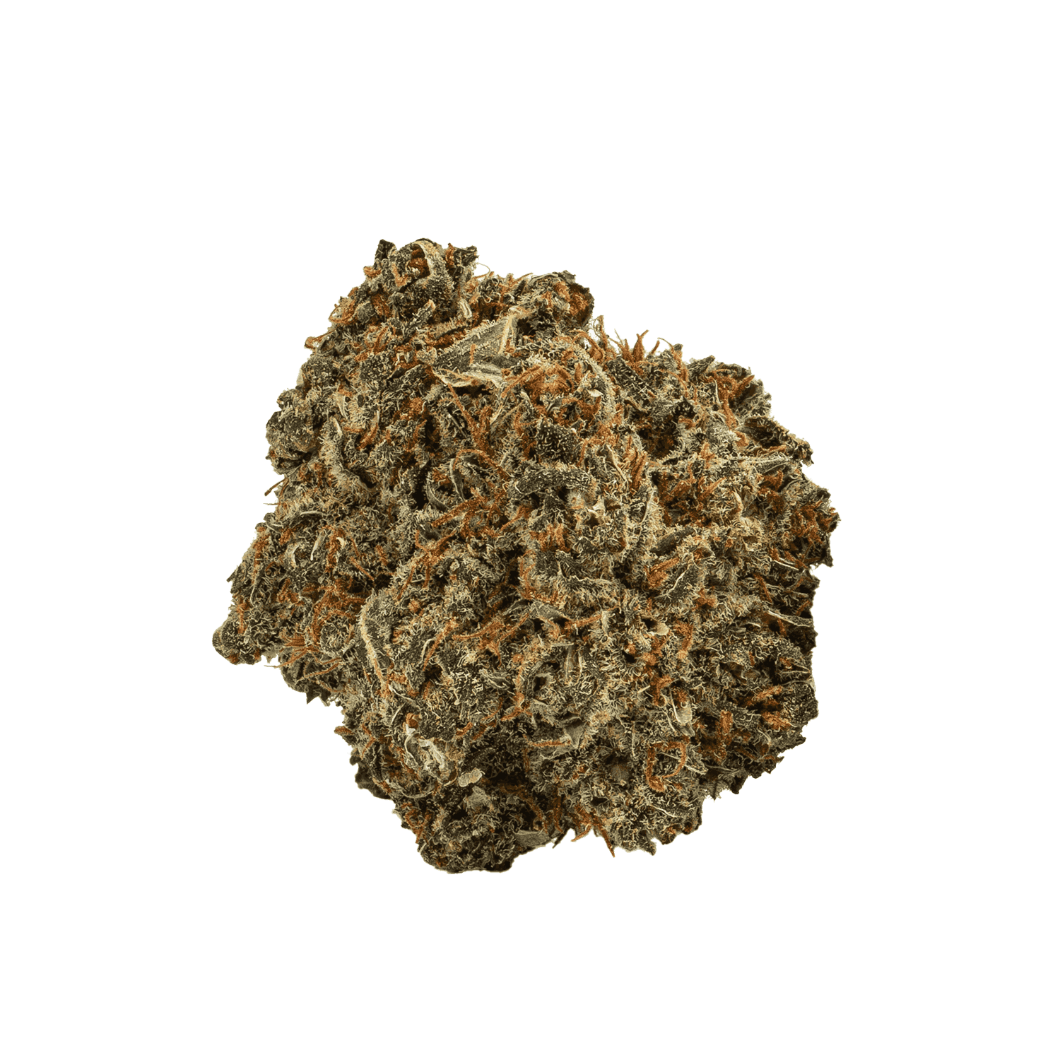 Mother Of Berries (AAA) - Image 3