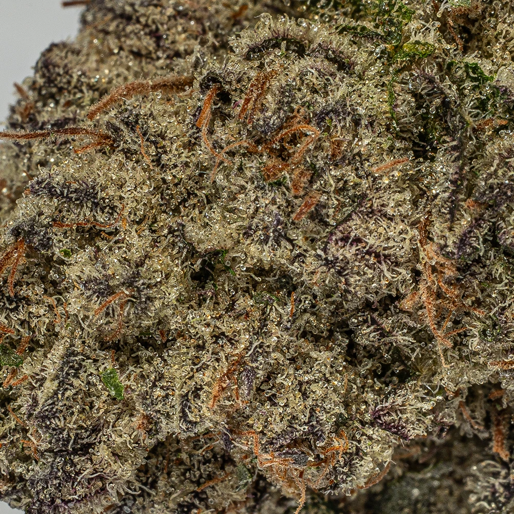 Shishkaberry (AAAA) - Image 5