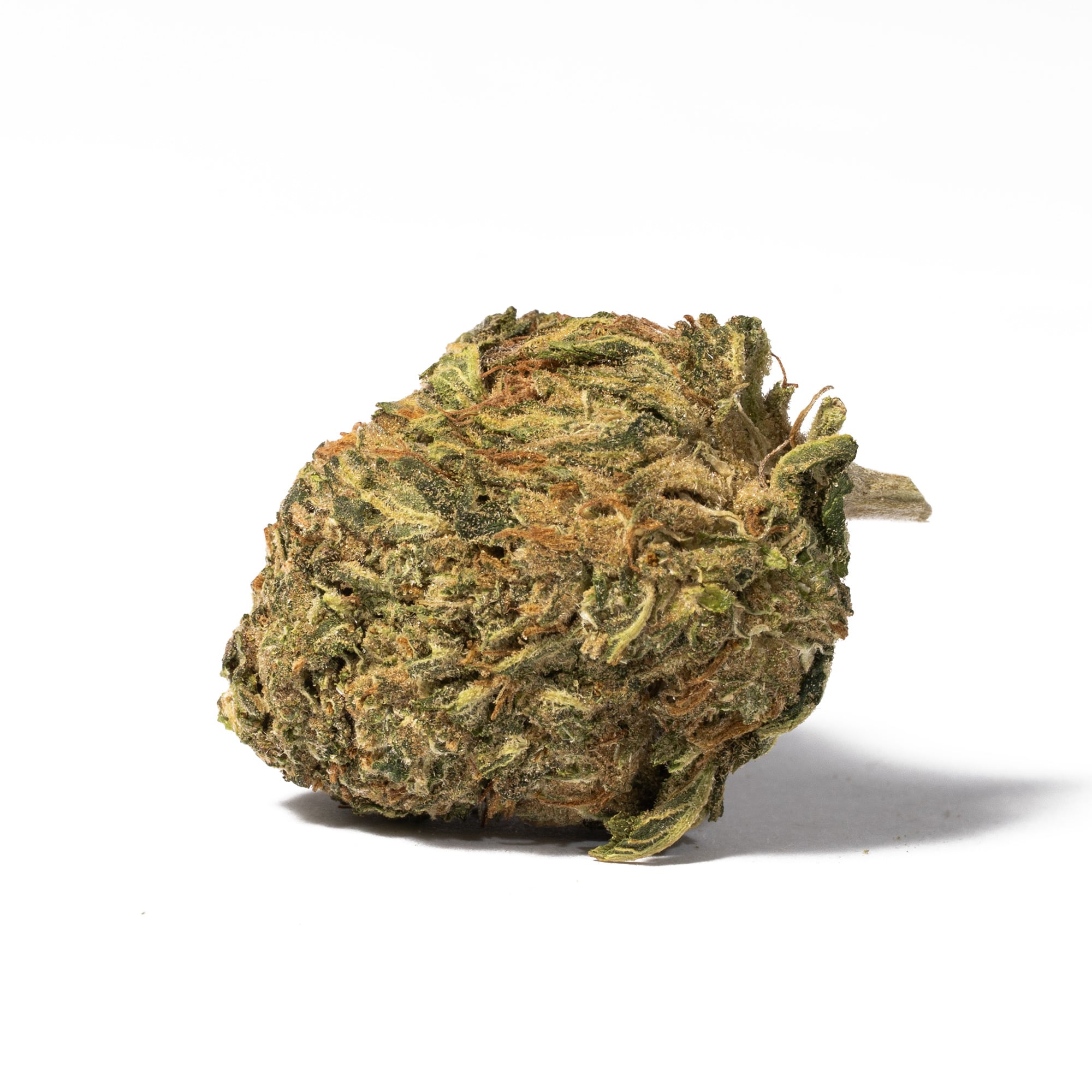 Black Bubba (AA) - Image 3