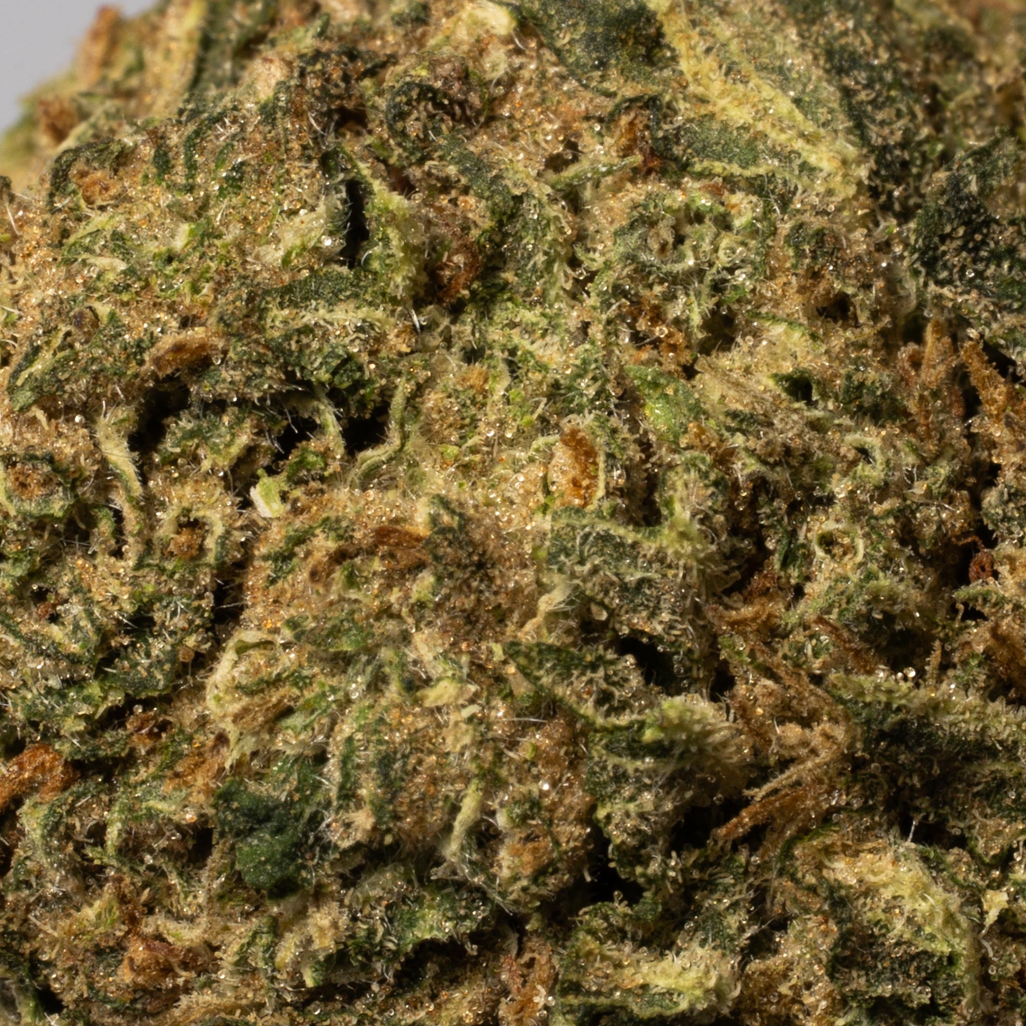 Black Bubba (AA) - Image 4