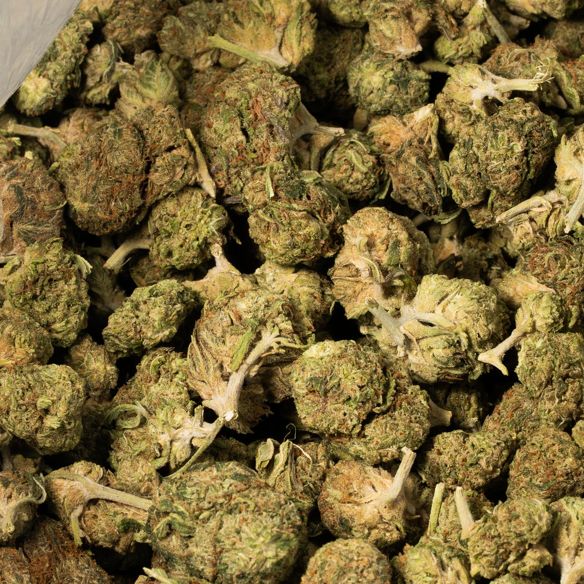 Black Bubba (AA) - Image 5