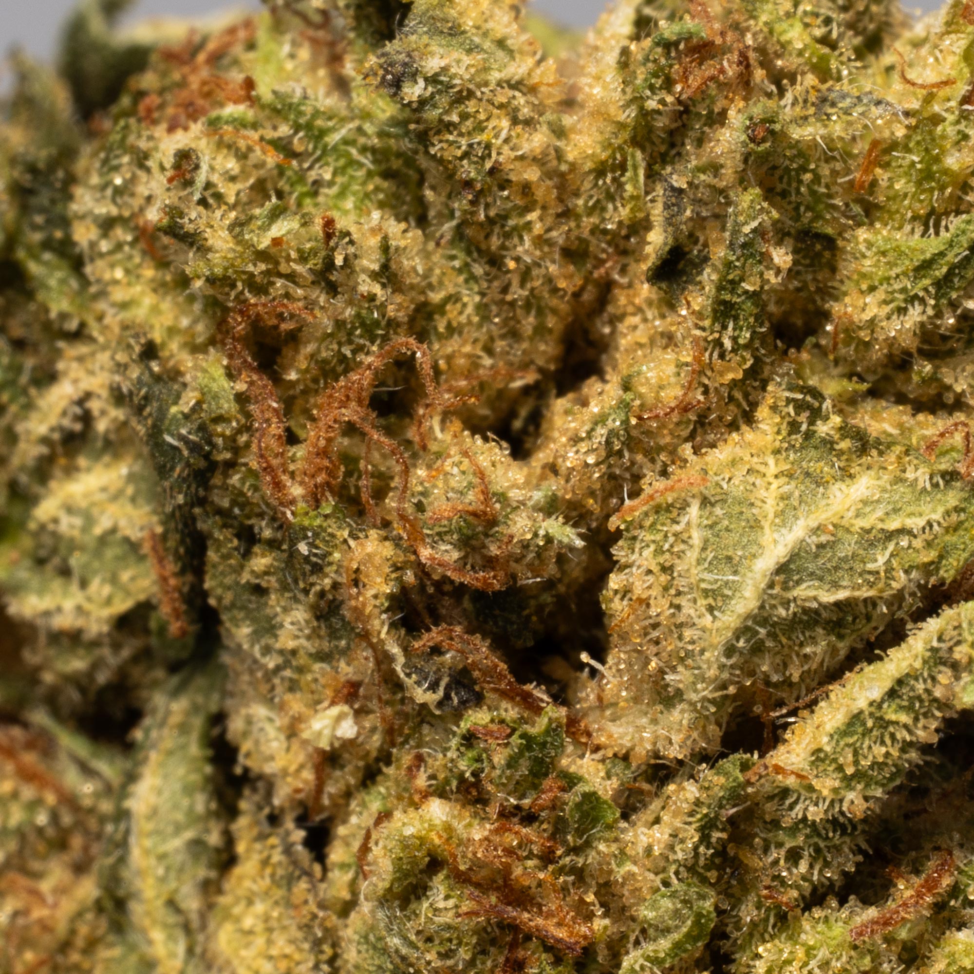 Death Star Smalls (AAAA) - Image 5