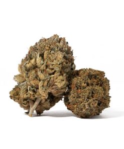 Gangster Kush (AAAA)