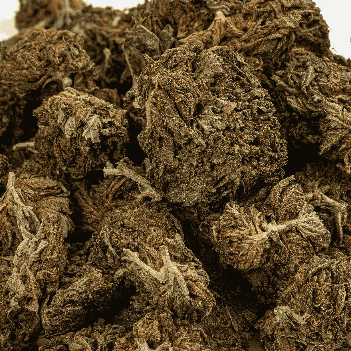 Dark Cross (A) - Image 4