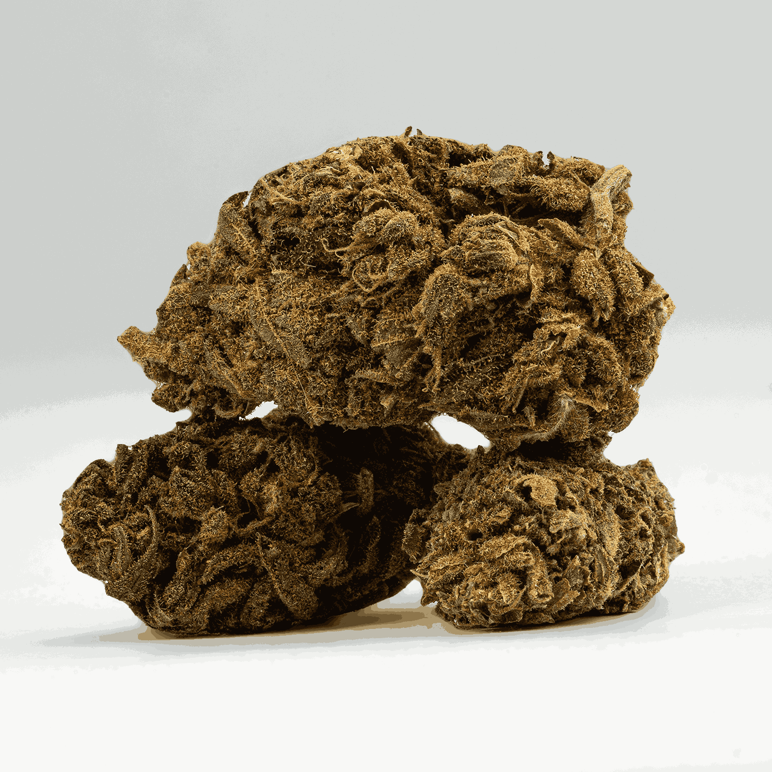 Odyssey (A) - Image 2