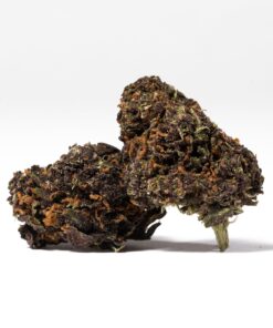 Purple Kush (AA) Promo