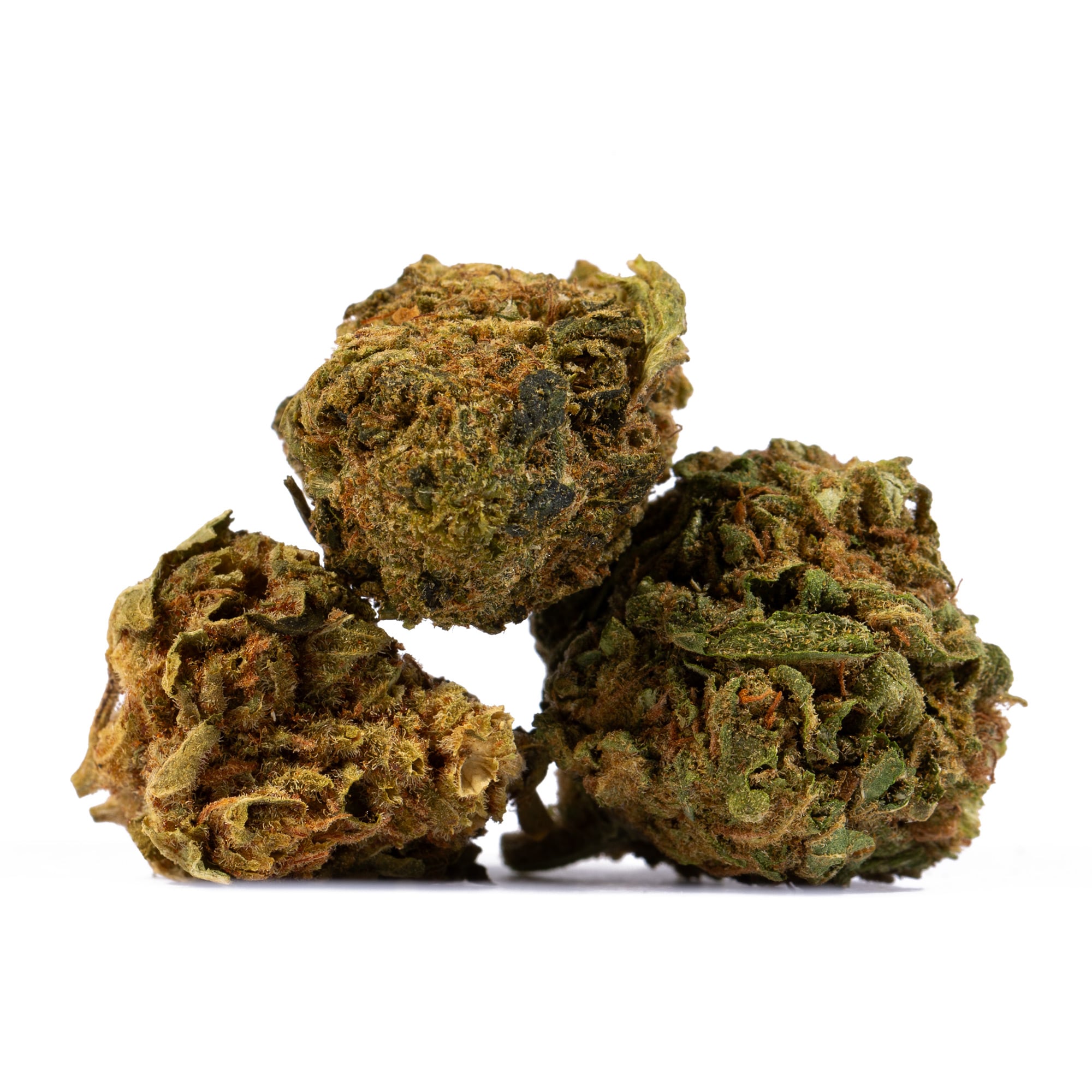 Lagoon (A) - Image 2