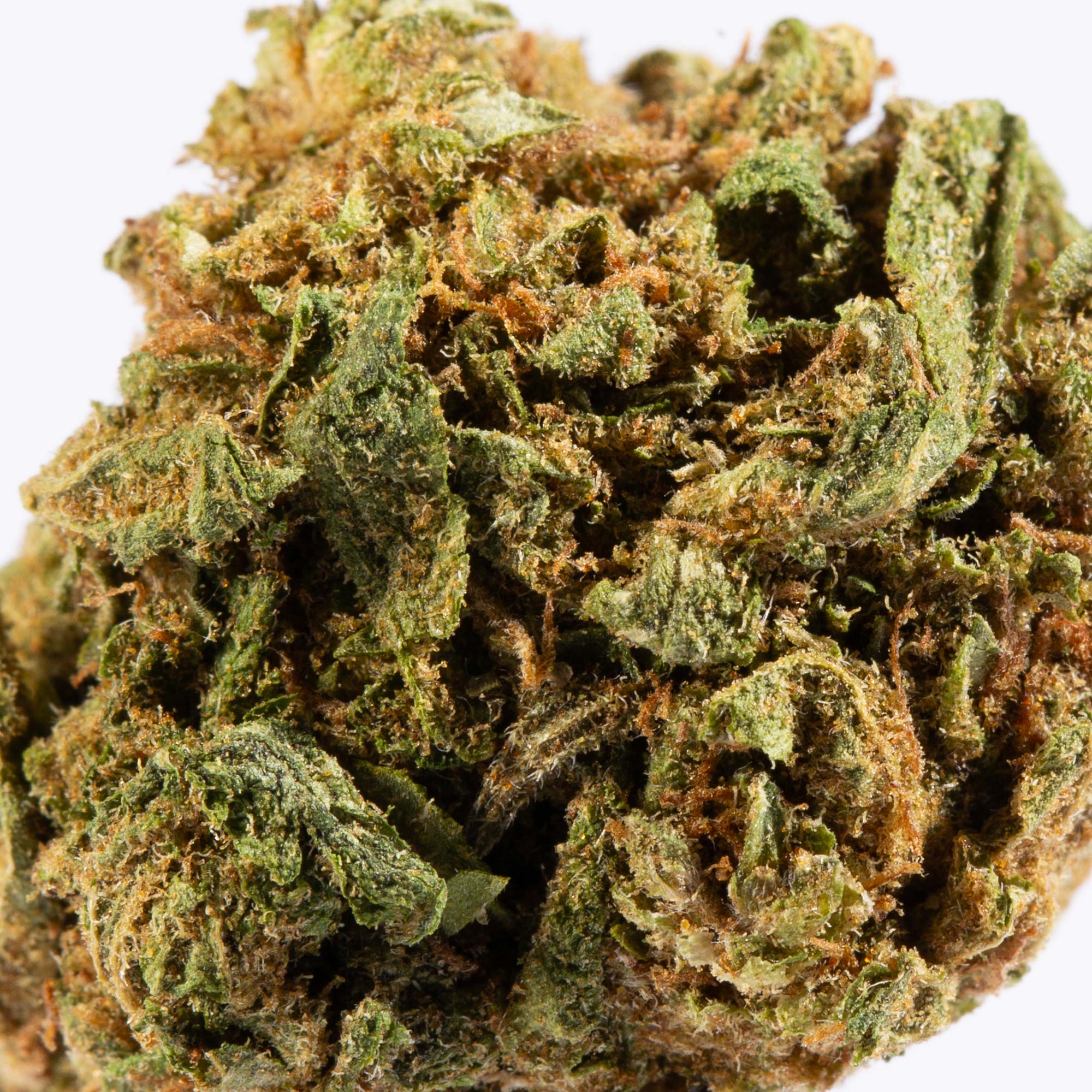 Lagoon (A) - Image 3