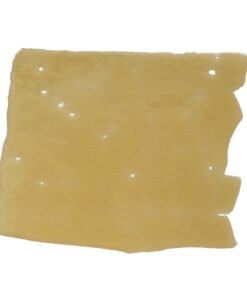 House Shatter - Alien OG (Hybrid)