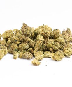 Bakerstreet Smalls (AA)