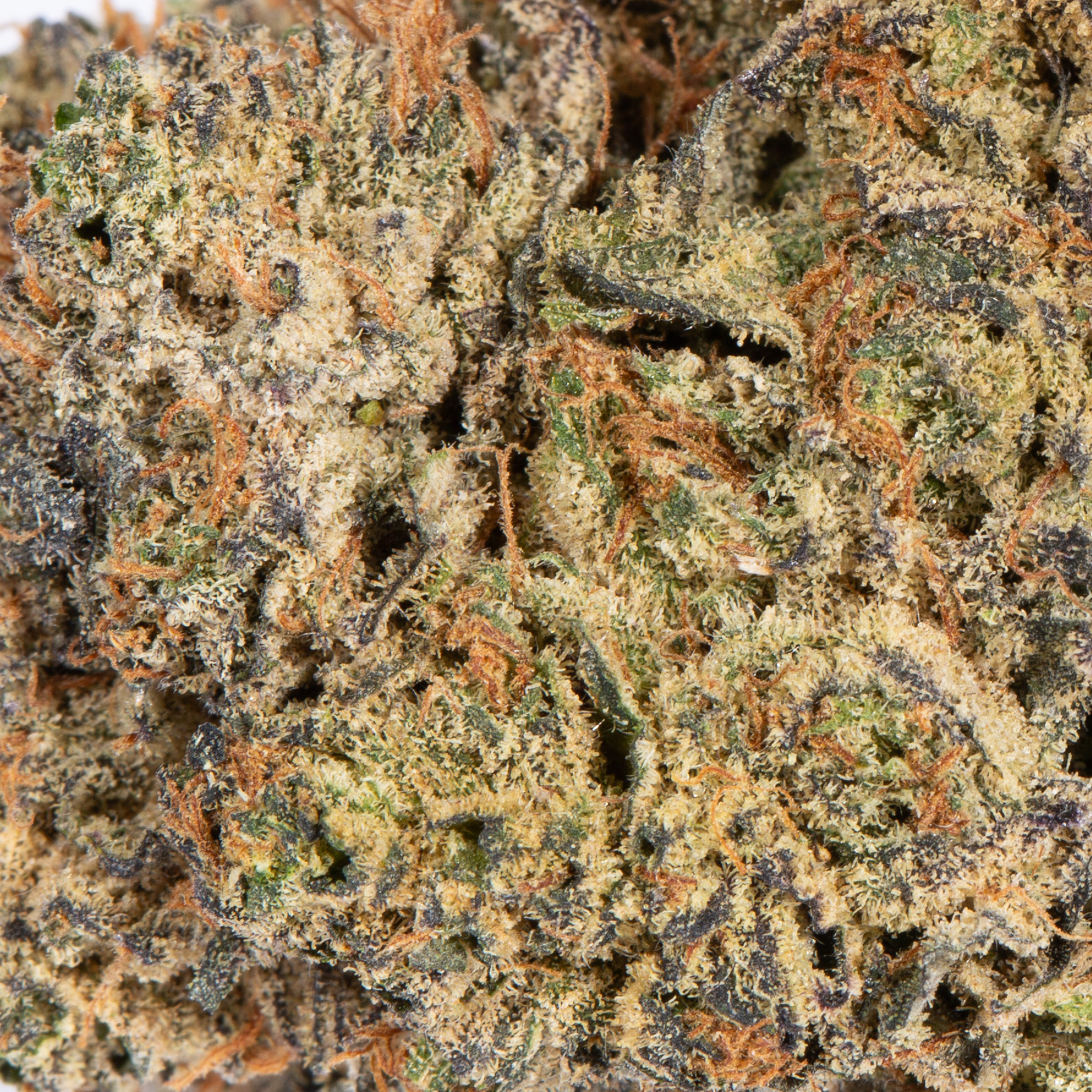 Da Funk (AAA) - Image 5