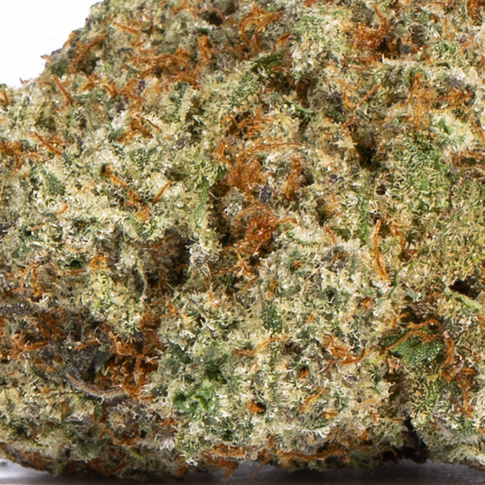 Alien OG (AAAA) - Image 4
