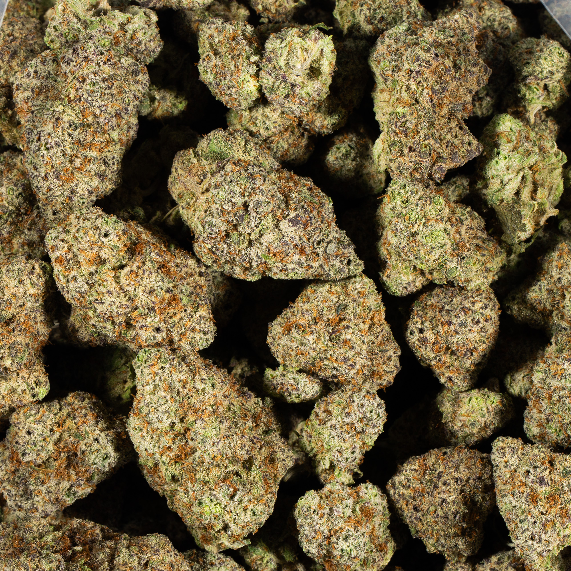 Alien OG (AAAA) - Image 5
