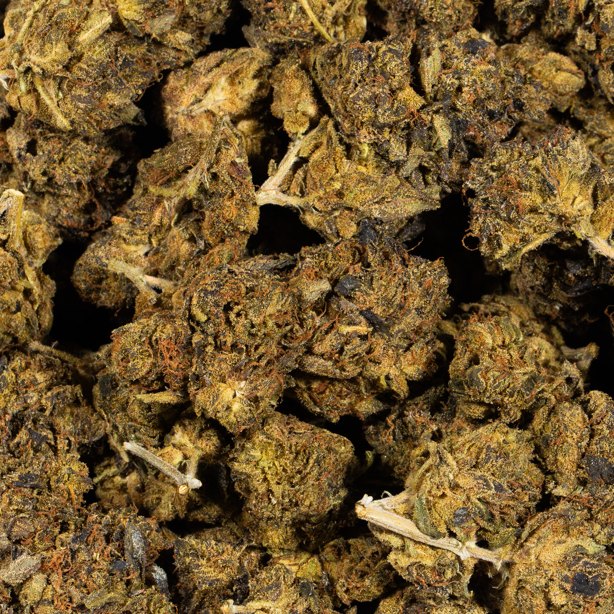Cali Gas (AA) Promo - Image 4