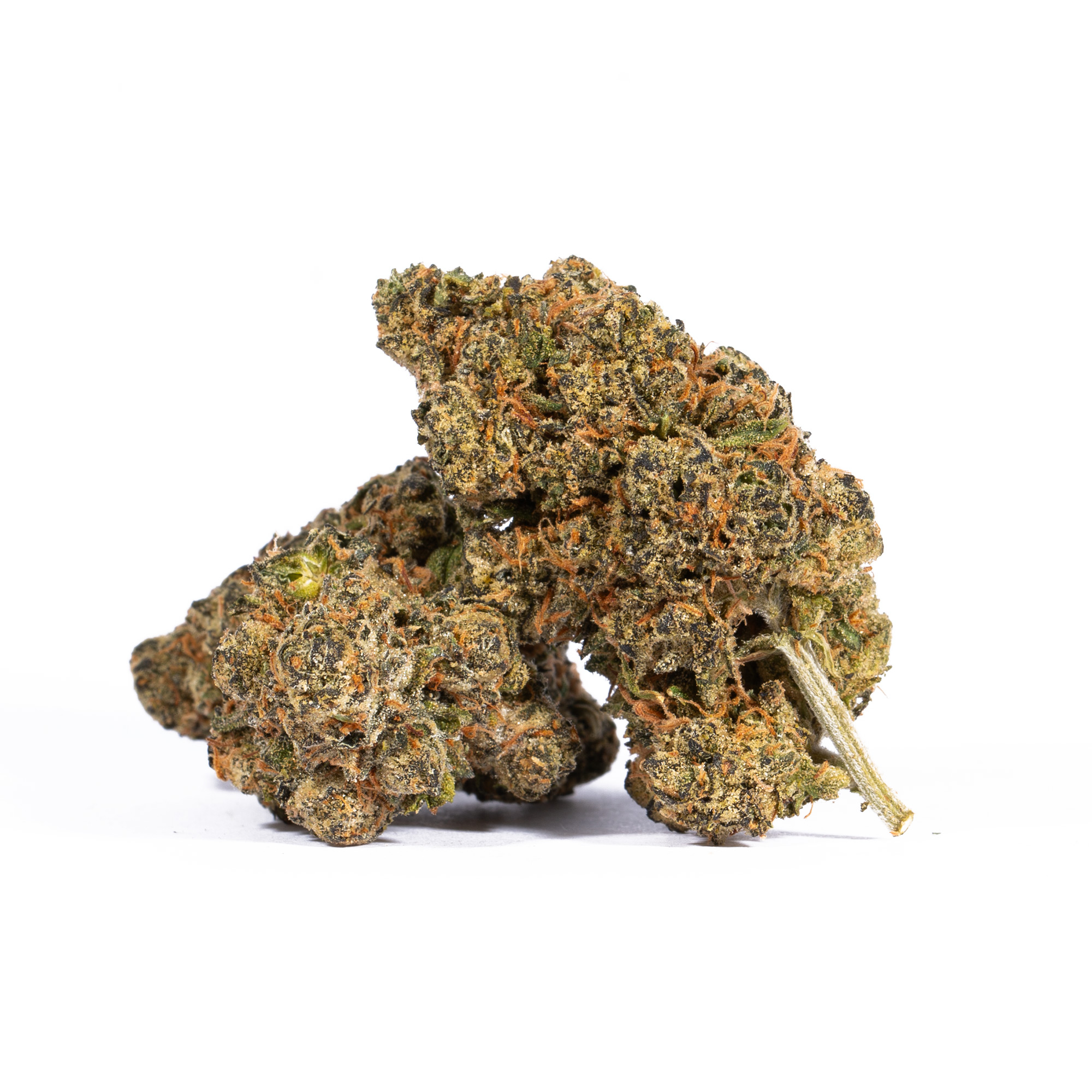 Tropic Thunder (AA+)