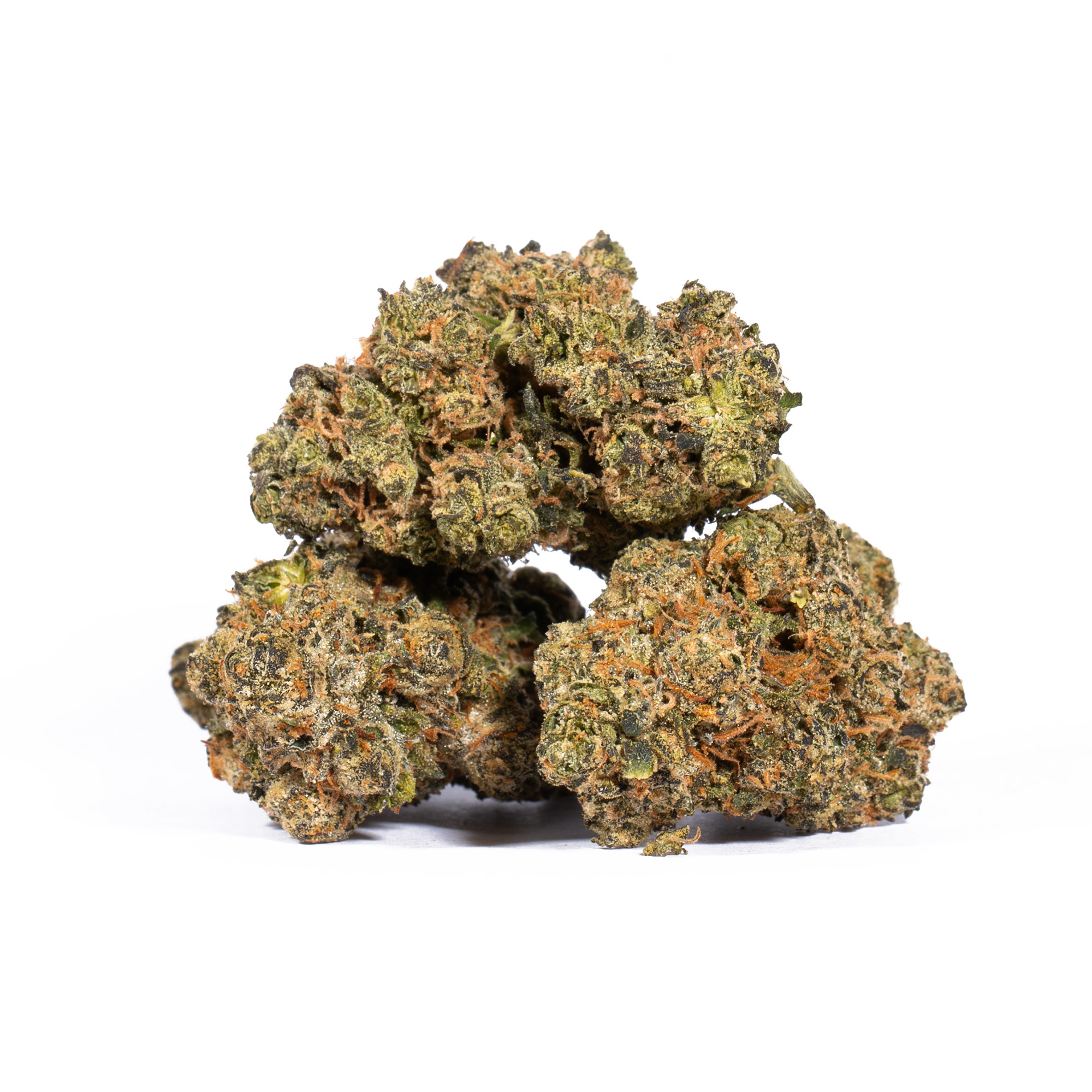 Tropic Thunder (AA+) - Image 3