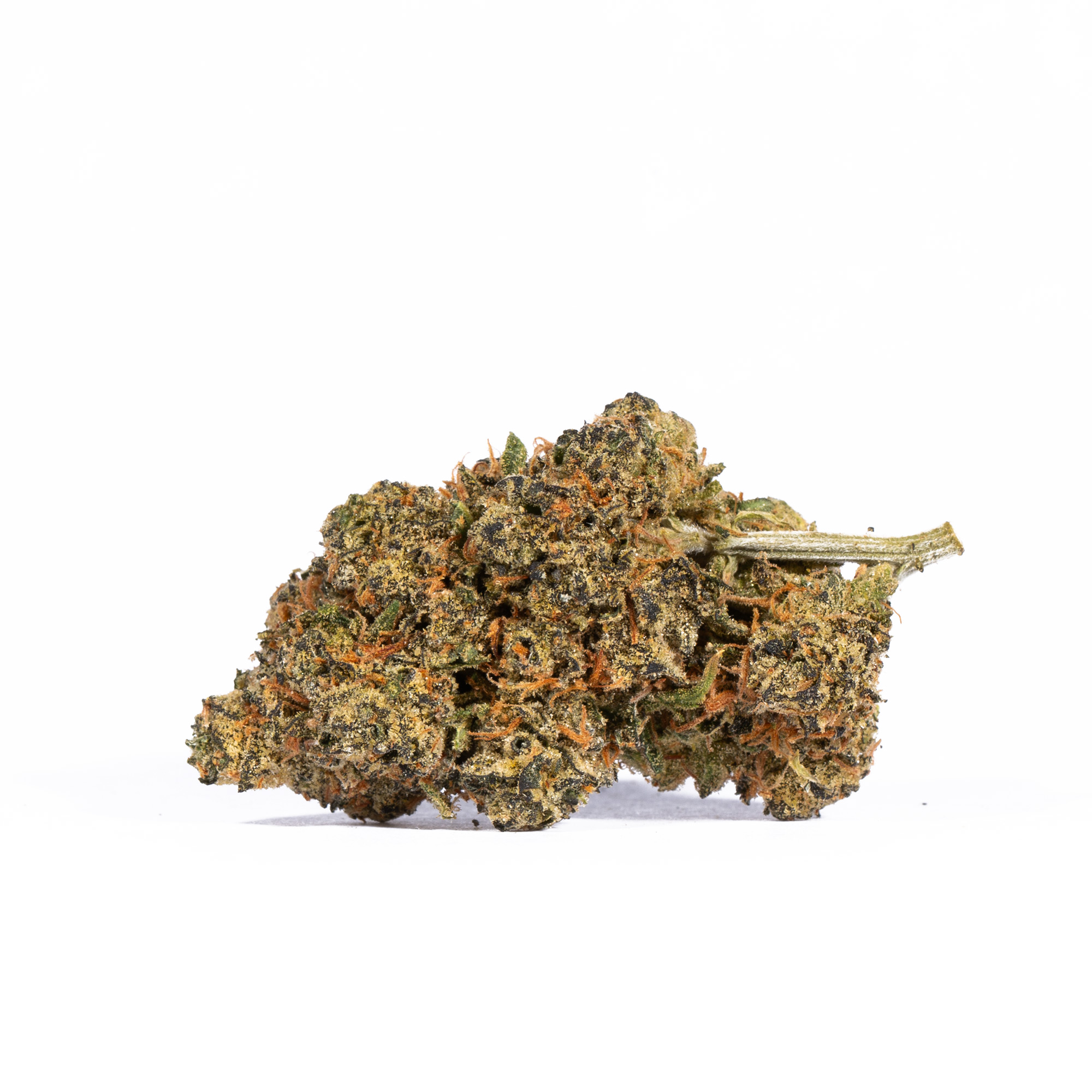 Tropic Thunder (AA+) - Image 2