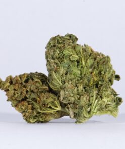 Space Cake (AA)