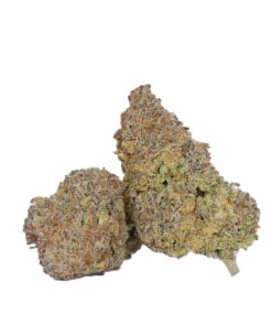 Tahiti Lime (AAAA)